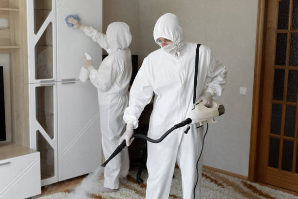 Asbestos and Lead Testing During Mold Inspection in Citrus Springs, FL